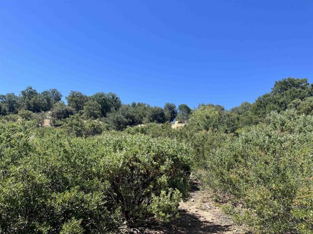 3890 Eagle Ridge, Julian CA: https://media.crmls.org/mediaz/66afa2fa-2014-4e21-b60c-d72a5752e8d5.jpg