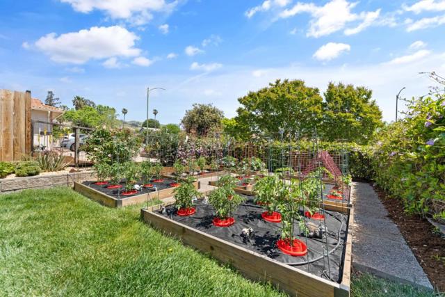 3173 Hostetter Road, San Jose CA: https://media.crmls.org/mediaz/66b2accc-5ae3-4659-81a4-85cae79244b1.jpg