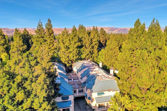 418 GALLERIA Drive, San Jose CA: https://media.crmls.org/mediaz/66c01a2a-4698-415a-9f27-3af3f6a4e247.jpg