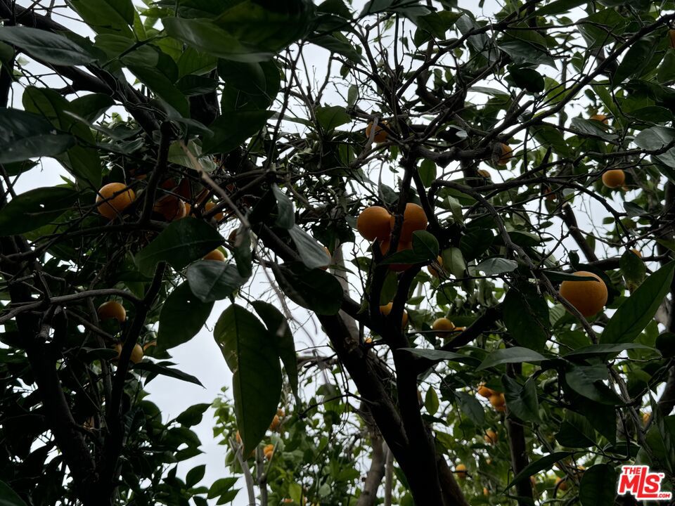 https://media.crmls.org/mediaz/66c6e054-0621-4f26-b8d0-675494d63894.jpg?preset=X-Large