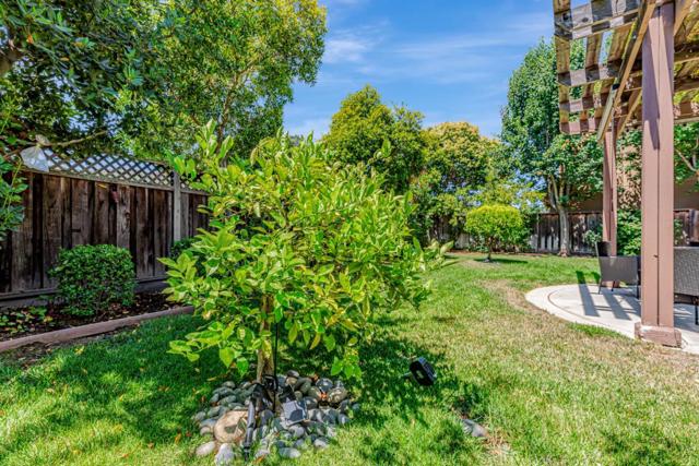 5871 Masoni Place, Gilroy CA: https://media.crmls.org/mediaz/66c76f43-0d7a-41a9-9eb7-1570f7969075.jpg