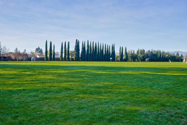 707 Torreya Avenue, Sunnyvale CA: https://media.crmls.org/mediaz/66c99457-93a1-472a-8494-7556d7c13937.jpg