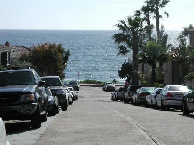 307 Rosemont - photo 15