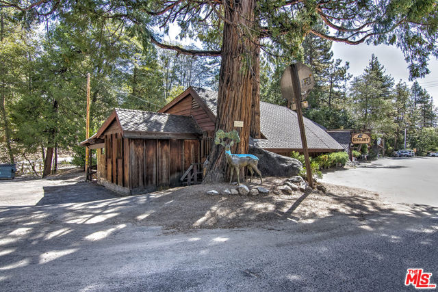 Image 3 for 54905 N Circle Dr, Idyllwild, CA 92549