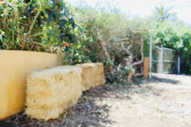 Detail Gallery Image 48 of 58 For 736 Mar Vista Dr, Vista,  CA 92081 - 1 Beds | 1 Baths