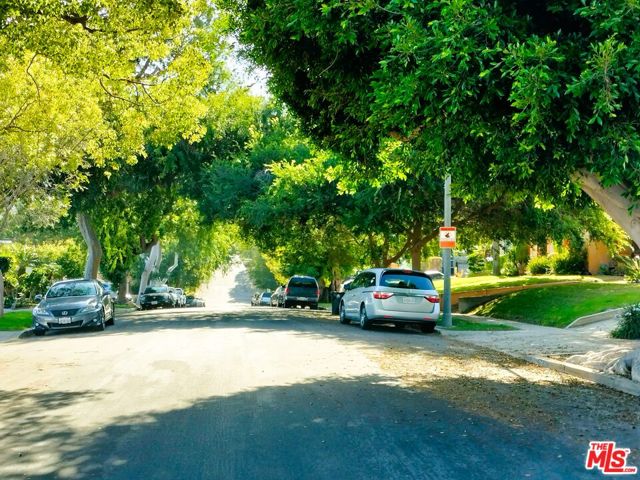 Tree-lined street