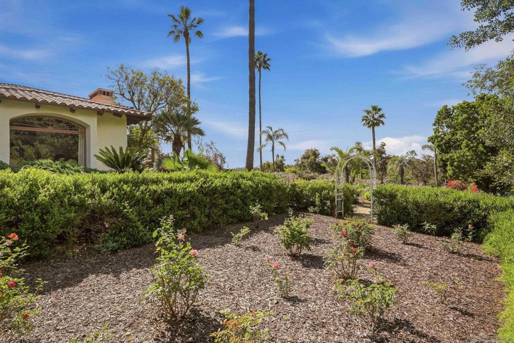 12983 Guacamayo - photo 2