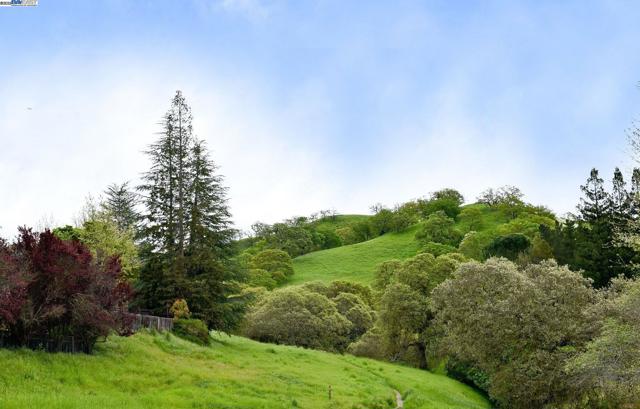 1021 Knightwood Ct, Walnut Creek CA: https://media.crmls.org/mediaz/66e55dd6-5e61-41cd-b98c-28739637fdbc.jpg