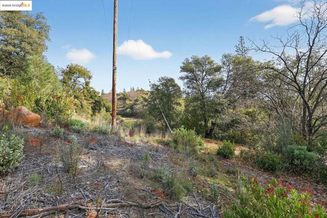 Image 4 of 10 For 4544 Sheep Ranch Rd