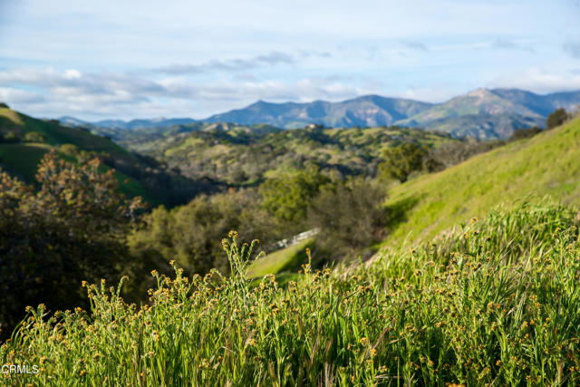 Detail Gallery Image 39 of 54 For 3570 Woodstock Rd, Santa Ynez,  CA 93460 - 6 Beds | 5/1 Baths