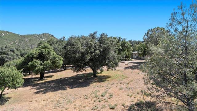 12220 Rebel Wind Rd, Descanso CA: https://media.crmls.org/mediaz/66f26fdf-098a-45f0-aaa5-904415aa1b4c.jpg