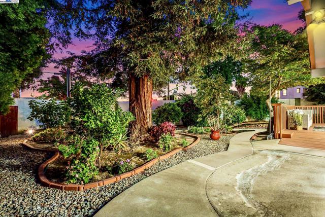 39478 Zacate Ave, Fremont CA: https://media.crmls.org/mediaz/66f35654-d0c0-4d43-9b75-4d7e71c20937.jpg