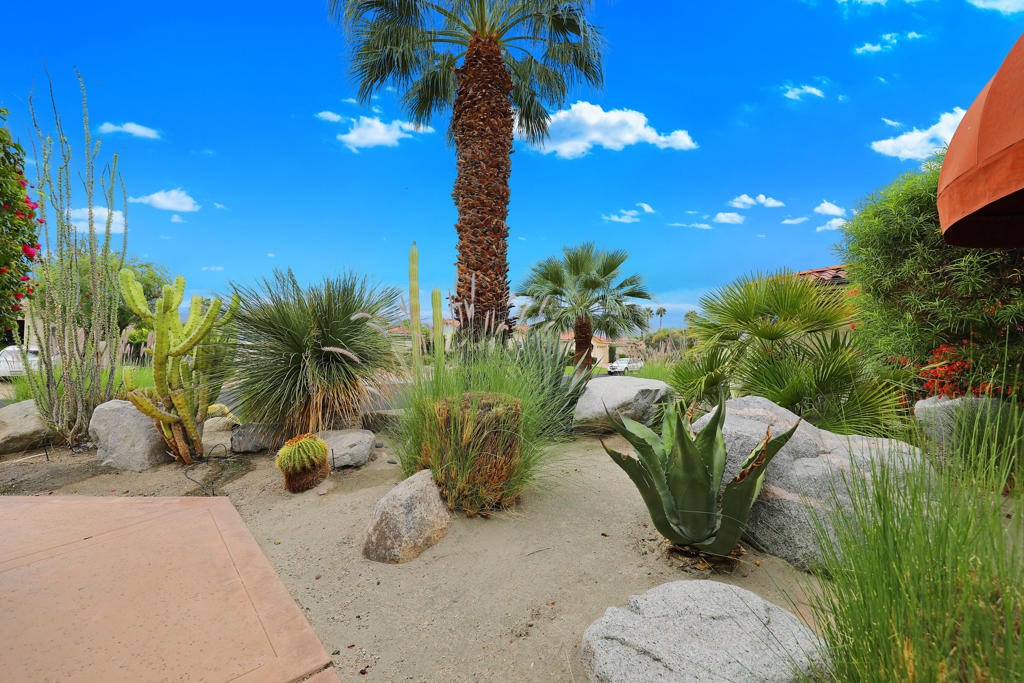 MLS #219138522DA image #34