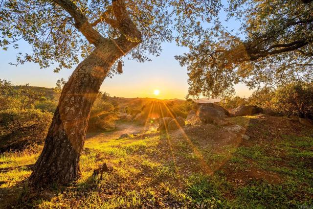 Detail Gallery Image 27 of 38 For 19161 Paradise Mountain Rd, Valley Center,  CA 92082 - 3 Beds | 2 Baths