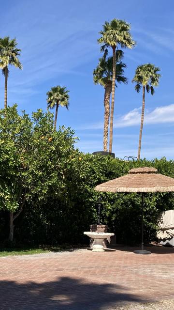 69411 Ramon Road, Cathedral City CA: https://media.crmls.org/mediaz/6706fa55-6be8-4d25-850f-664670ad7a75.jpg