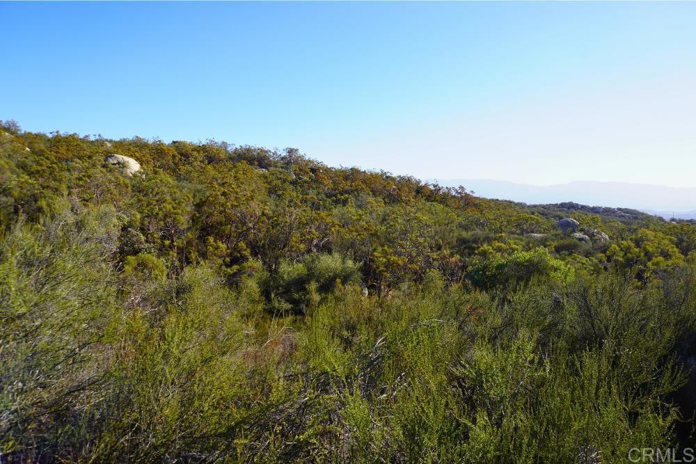 MLS #PTP2507282 image #9