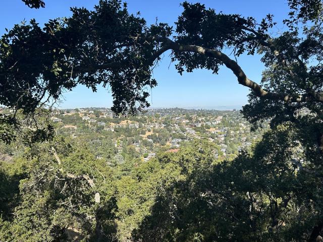 0 Winding Way, San Carlos CA: https://media.crmls.org/mediaz/67137b35-743f-41b0-b90c-4dede43918f6.jpg