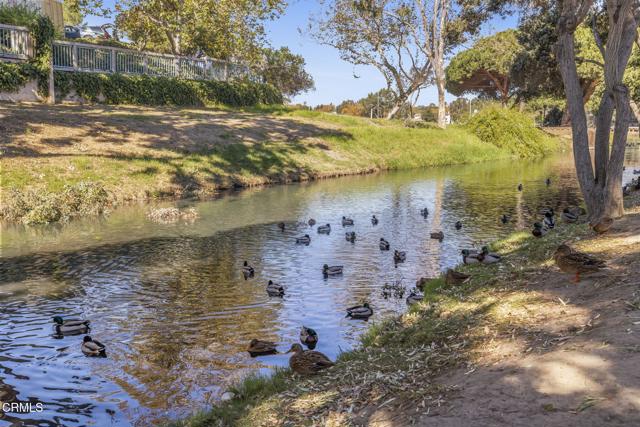 Detail Gallery Image 46 of 53 For 357 Blue Dolphin Dr, Port Hueneme,  CA 93041 - 3 Beds | 2/1 Baths