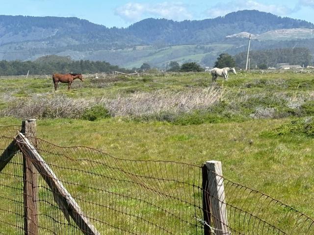 0 Portola Avenue, Half Moon Bay CA: https://media.crmls.org/mediaz/672952e2-5878-47e7-a38b-6a86850d3e09.jpg