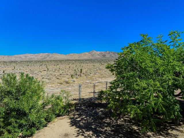 8799 Palomar Avenue, Yucca Valley CA: https://media.crmls.org/mediaz/672d25b6-7ca5-46f8-a3f3-21ec7b3d6614.jpg