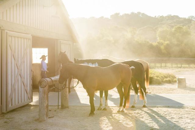 14 Long Ridge Trail (Lot 232), Carmel CA: https://media.crmls.org/mediaz/674b30b8-00b7-457f-a68c-a382edecef89.jpg