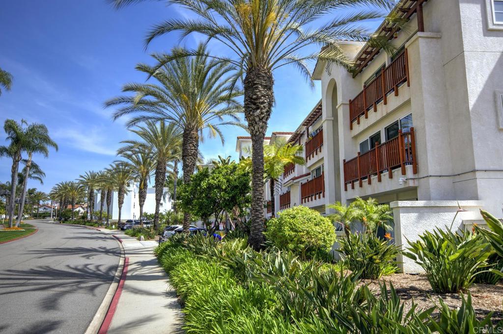 2003 Costa Del Mar Rd - photo 2