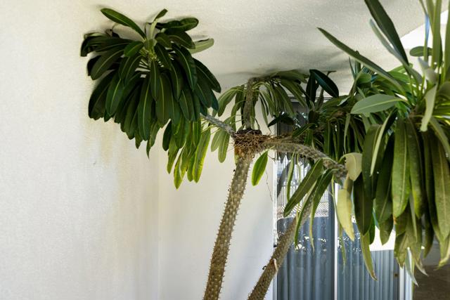 MLS #219136634DA image #32