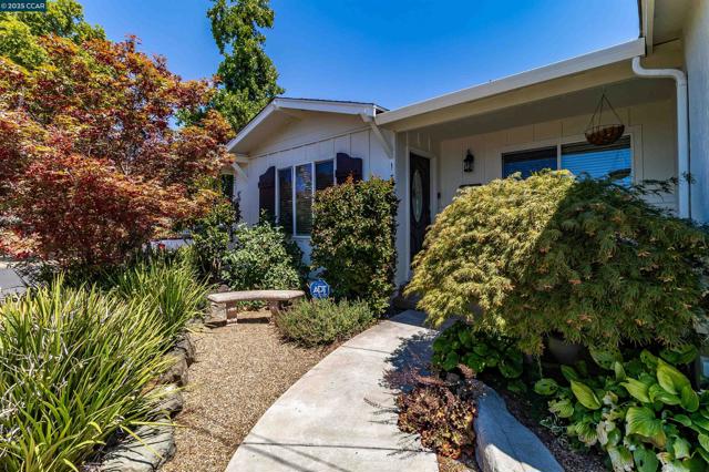 1349 Montana Dr, Concord CA: https://media.crmls.org/mediaz/6759a9c1-219f-40ba-b24e-fce3d79d306a.jpg