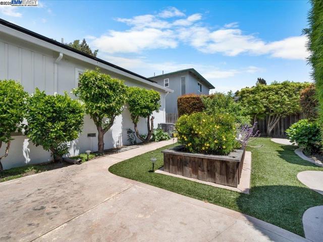 4311 Circle Ave, Castro Valley CA: https://media.crmls.org/mediaz/67606832-3764-4575-97ae-3cd7bf9b8c5b.jpg