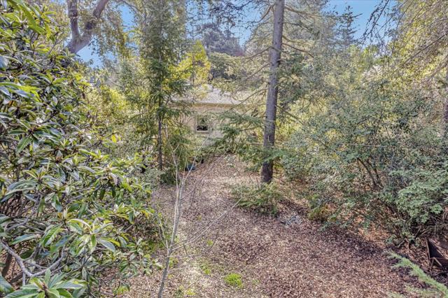 15041 Park Drive, Saratoga CA: https://media.crmls.org/mediaz/6765c235-837a-40e2-8b3d-8bdb3f8cdcfa.jpg
