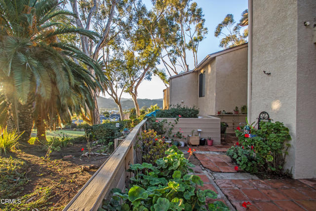 Patio View