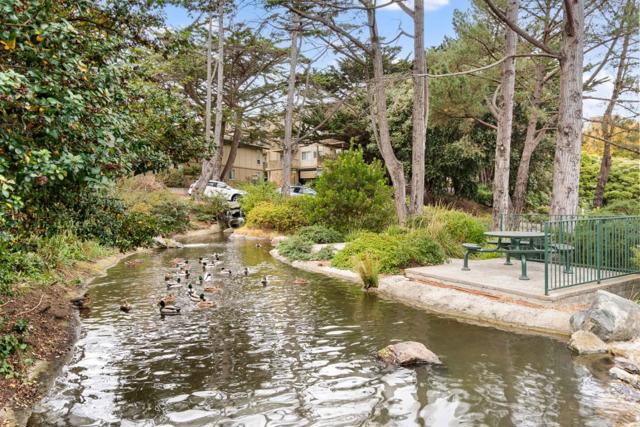 381 Half Moon Lane, Daly City CA: https://media.crmls.org/mediaz/676b9b0d-52e3-4f44-86d6-12192b63e019.jpg