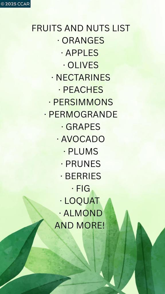 https://media.crmls.org/mediaz/67794d6f-dfd6-4707-91f2-66d4906a1834.jpg?preset=X-Large