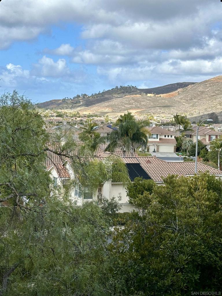 MLS #250034702SD img 40