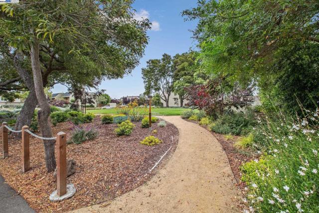 1105 Fontana Dr, Alameda CA: https://media.crmls.org/mediaz/67873adf-0627-46df-bd43-6ecccf902deb.jpg