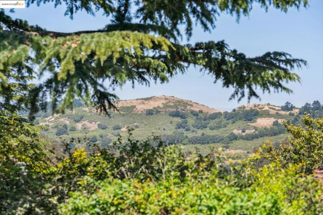 1023 Overlook Rd, Berkeley CA: https://media.crmls.org/mediaz/678d008c-3952-462e-a3c8-333f63c932a8.jpg