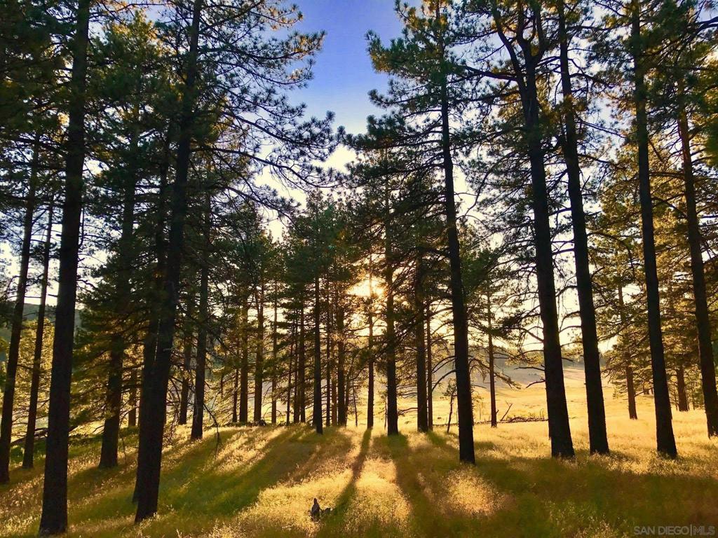 https://media.crmls.org/mediaz/67a33177-09b8-4cd8-977d-3859b4c7b3bd.jpg?preset=X-Large