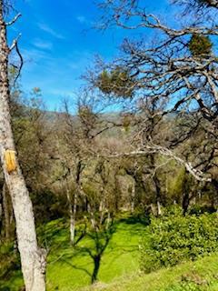 5222 Dogtown, Coulterville CA: https://media.crmls.org/mediaz/67a7aa3a-702d-4be7-a094-67f8fbb01920.jpg