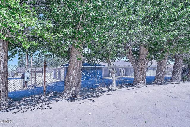 Detail Gallery Image 17 of 46 For 10298 Custer Ave, Lucerne Valley,  CA 92356 - 5 Beds | 2/1 Baths