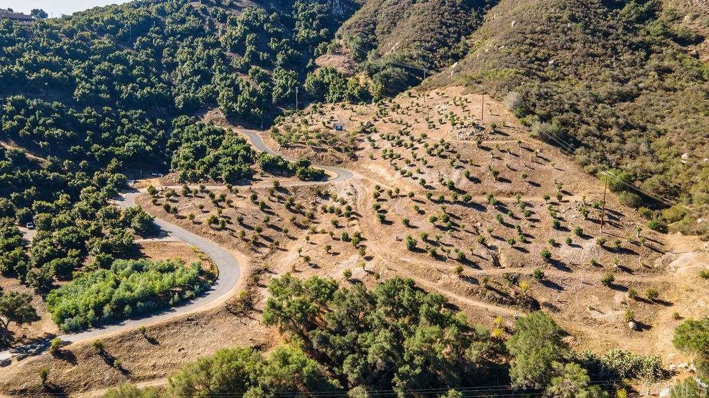 MLS #NDP2510128 image #5