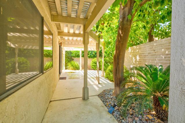 Man side yard