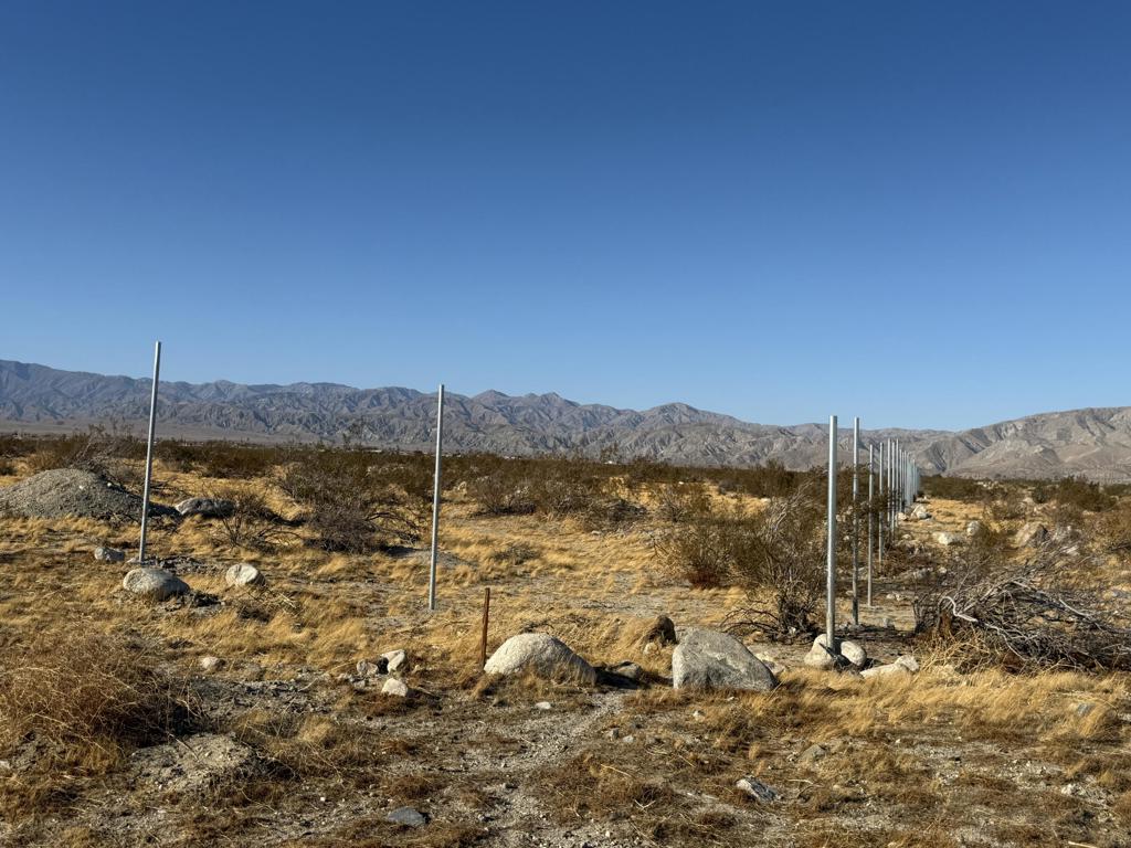 MLS #219131666DA image #7