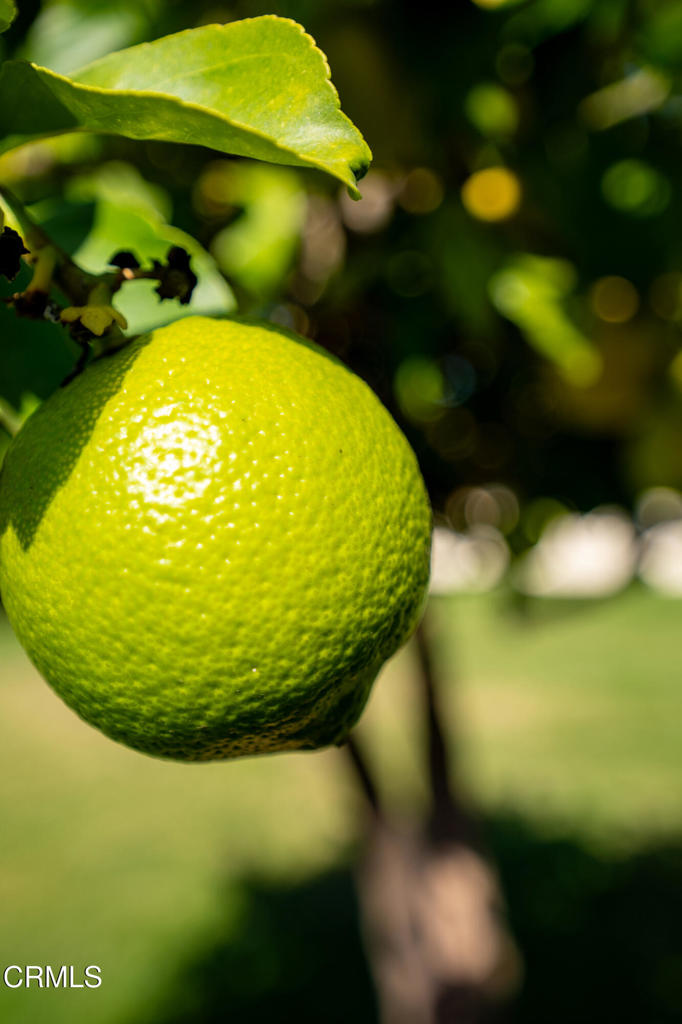 https://media.crmls.org/mediaz/67b8ca84-4d76-4d41-92be-e553186705ce.jpg?preset=X-Large