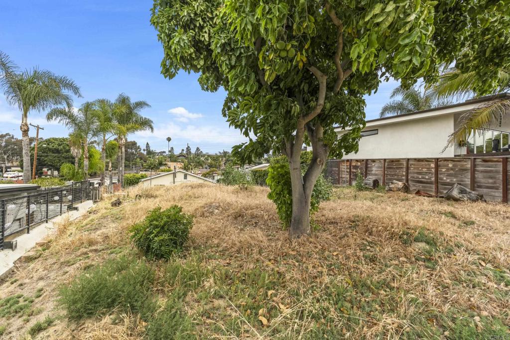 817 Juanita Street - photo 19