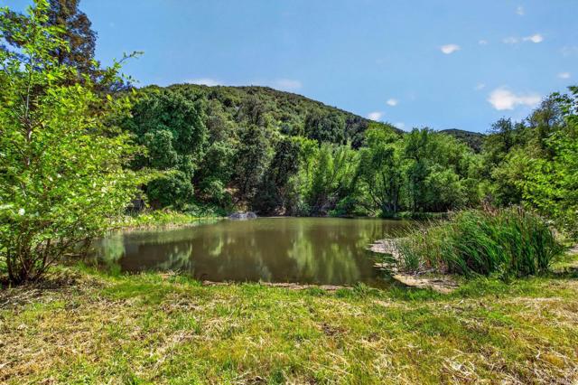 Front Image Thumbnail for CRNDP2603805