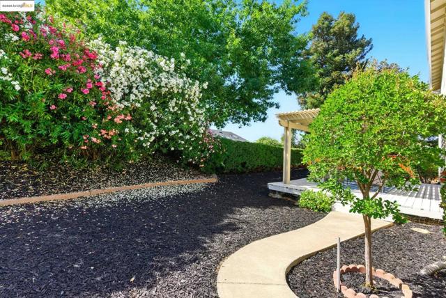View of yard featuring a pergola