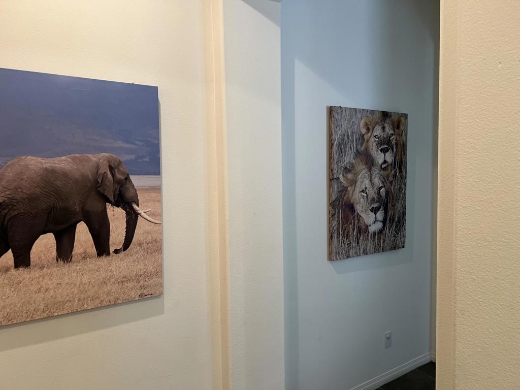 MLS #219138012DA image #7