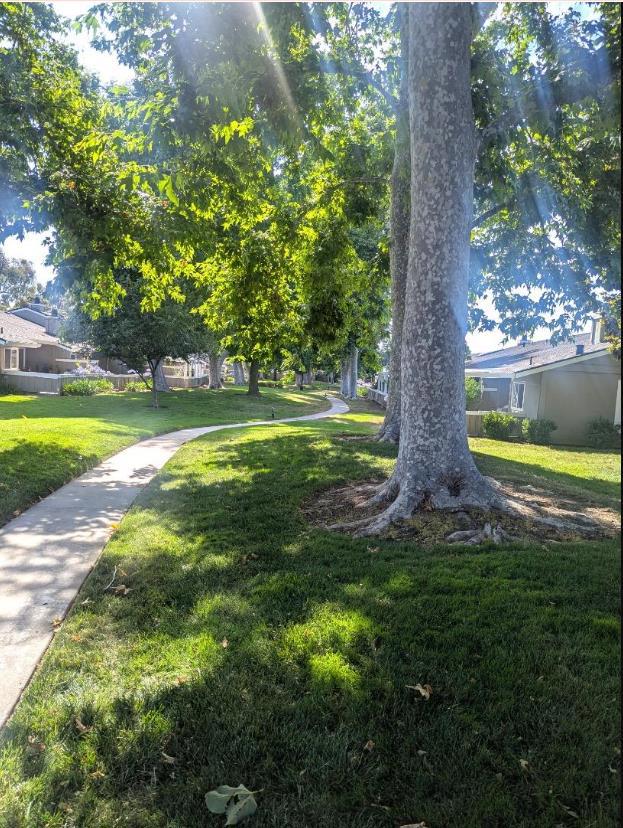 https://media.crmls.org/mediaz/67d753b5-177d-4863-9e35-c9e5689f3881.jpg?preset=X-Large