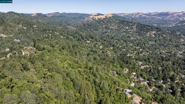 100 Black Log Rd, Kentfield CA: https://media.crmls.org/mediaz/67db7cff-16e1-443d-8537-0e8425fa9789.jpg