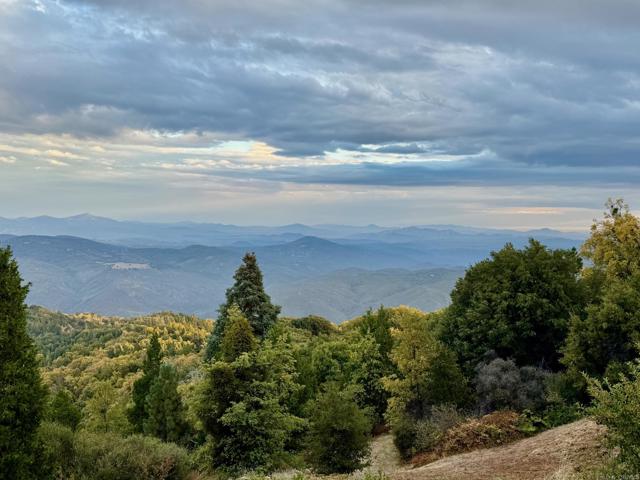 Detail Gallery Image 31 of 47 For 32771 Birch Hill Rd, Palomar Mountain,  CA 92060 - 2 Beds | 2 Baths